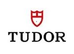 imgi_20_tudor-min.jpg